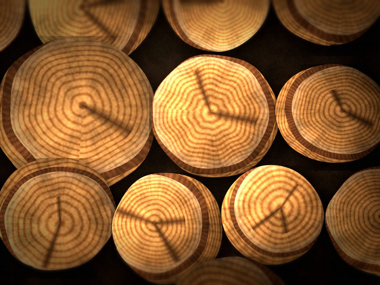 Лиственничные дрова — ракурс 3